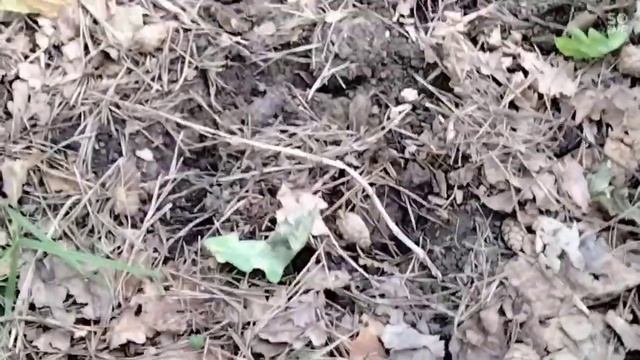 #авторскиестихи #стихи2022 #Тата2018#стихи старые стихи. как все начиналось смотреть онлайн