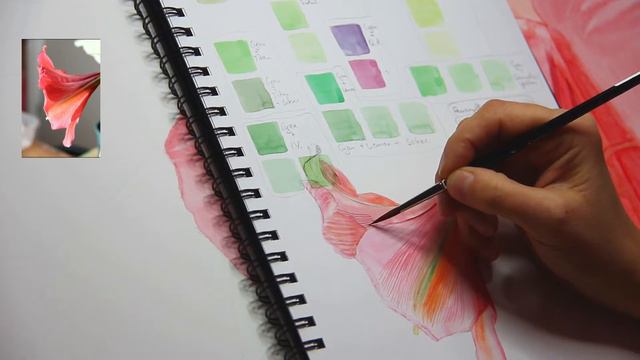 Aquarell Malen Skizzenbuch botanisch Blume Amaryllis Blüte realistisch Teil3 von 4 Pflanze botanisc смотреть онлайн