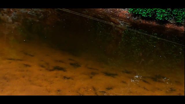 Spring Chinook, Small Creek (teaser) смотреть онлайн