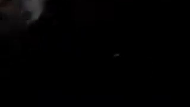 СМЕШНЫЕ ТЕЛЯТА смотреть онлайн