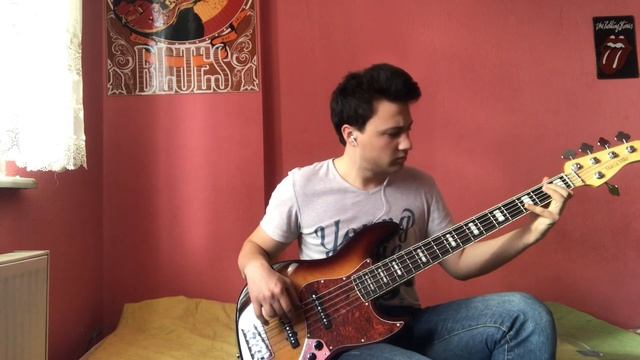 Steelheart - She's Gone (Marcus Miller Sire v7) Bass Cover смотреть онлайн