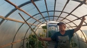 как укрепить поликарбонатную теплицу, легко и просто