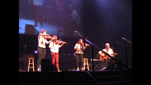 The Forget-Me-Nots At The Holmes