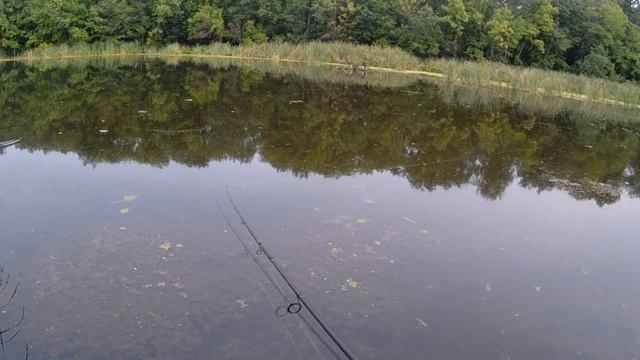 Ловля щуки на поппер| Зрелищные атаки щуки у поверхности смотреть онлайн