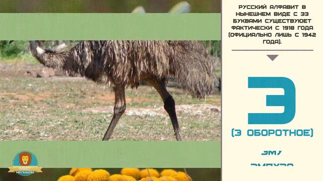 Мир малышам | Развивающие видео для детей | Русский алфавит: Буква Э смотреть онлайн