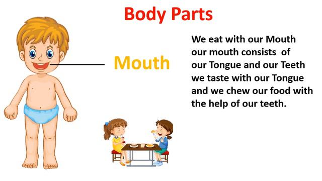 Body Parts Name | Body Parts For Kids | Parts Of Body | Body Parts And Their Uses