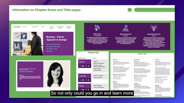 Examples of Team Structure Content Pages | TWG | IAMHR смотреть онлайн