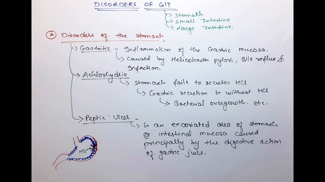 Disorders of GIT (Peptic Ulcer, Gastritis, Achlorhydria, Constipation, Diarrhoea) | Bhushan Science смотреть онлайн