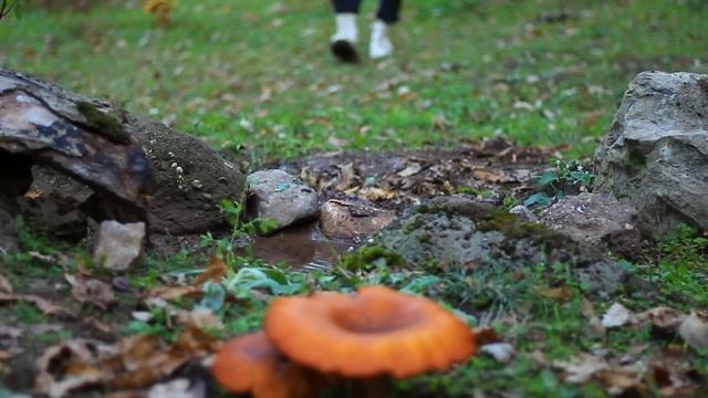 3 Day SOLO in ABANDONED House ,Foggy ,Rainy ,Cooking , Fear, Making, Peace смотреть онлайн