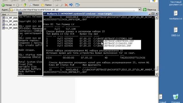Восстановление базы Oracle 10g Rman на другие пути. смотреть онлайн