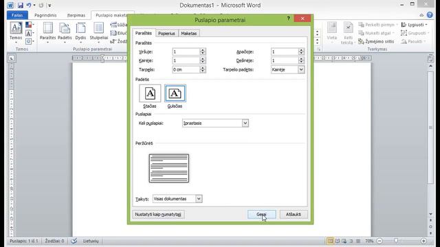 MS Word 2010. Dokumento paraščių nustatymas смотреть онлайн