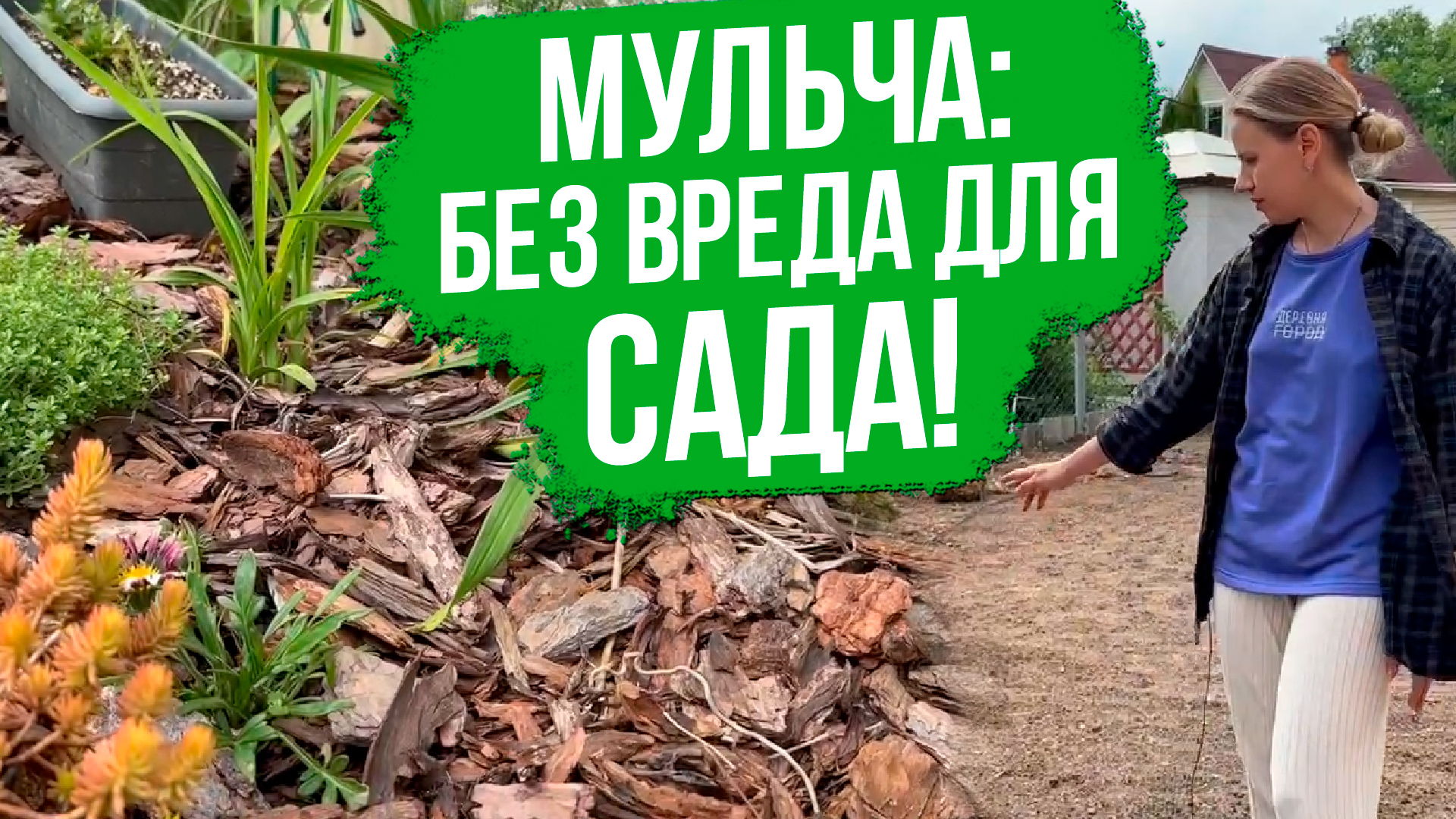 Чем и как правильно мульчировать грядки. Мульчирование почвы корой. смотреть онлайн