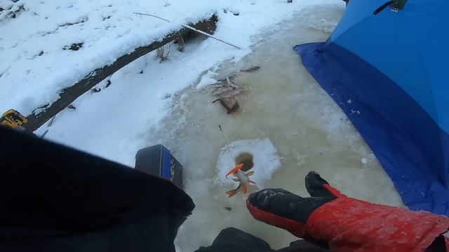 ЖОР КРУПНОГО ОКУНЯ В ГЛУХОМ КОРЯЖНИКЕ! РЫБАЛКА НА РАТЛИНЫ И БАЛАНСИРЫ. смотреть онлайн