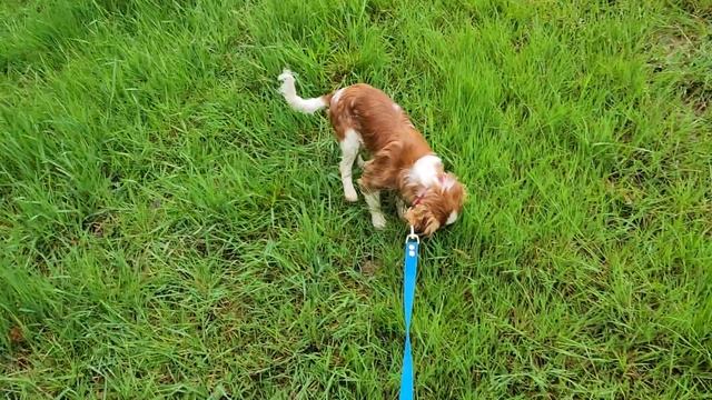 Адлер Сочи продолжение прогулки, идём смотреть бассейн. 7.04.23 смотреть онлайн