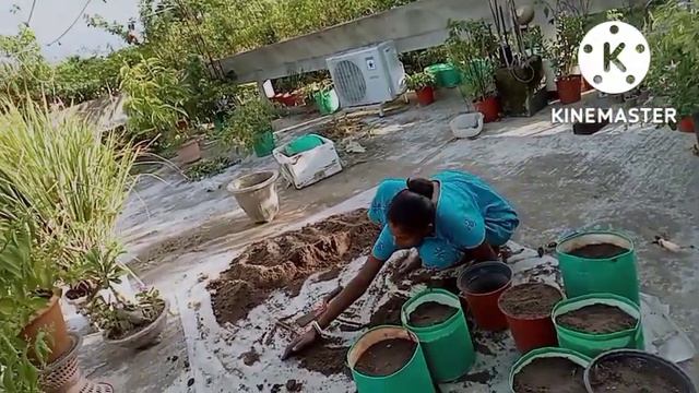 Preparing potting soil for winter @Floral Fields смотреть онлайн