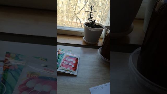 государство это мы!!! смотреть онлайн