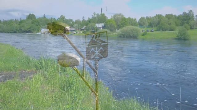 Сказ о Бабочке к Дню Ленинградской области смотреть онлайн