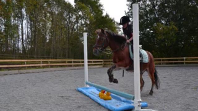 Världens bästa Grim смотреть онлайн