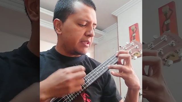 Yo soy tu amigo fiel (Toy Story) Ukulele Cover смотреть онлайн