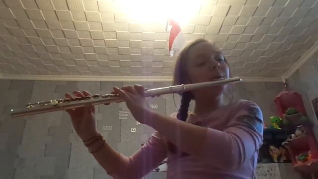Menuet(Johan Sebistian Bah)-EmilyB Flute Playing смотреть онлайн