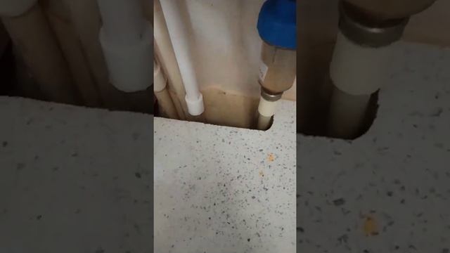 видео размещено для сайта Авито смотреть онлайн