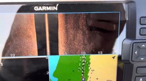 Рыба есть и она ест. Гармин Страйкер Вивид