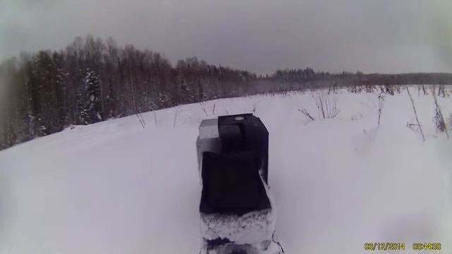 Езда по полю на псе