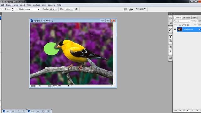 history brush tool,art history brush tool in photoshop tamil videos смотреть онлайн