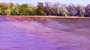 Так ли хороша килевая лодка ПВХ СТЕЛС 255 с пайолом-книжкой. Отзыв от первого лица