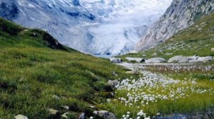 Серенада. Автор и исполнитель  Дэвид Гарретт.