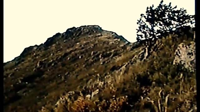 Природа на белой речке. смотреть онлайн