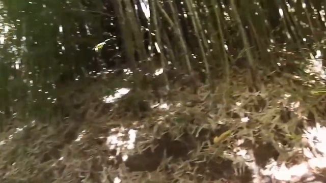 Интересные факты таинственные места на планете смотреть онлайн