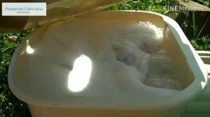 Советская стиральная машина «Малютка».?Больше я ею стирать не хочу ?. Стирка на даче ?.  Washer