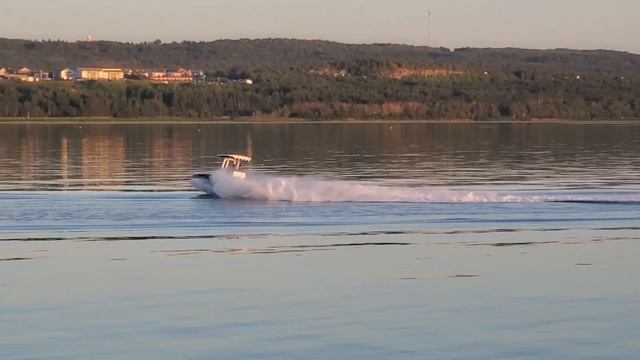 Как мы смотрели китов с берега #quebec #жизньвканаде #baleine смотреть онлайн