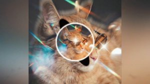 а ты милый мой кудряшка, песня симбочка.