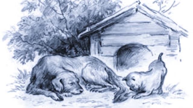 Играющие собаки - К. Ушинский. Поучительный рассказ читает Елена Рыбакова. Детская библиотека смотреть онлайн