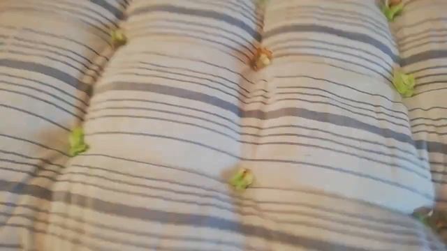 Матрас ватный от MebelSadTorg смотреть онлайн