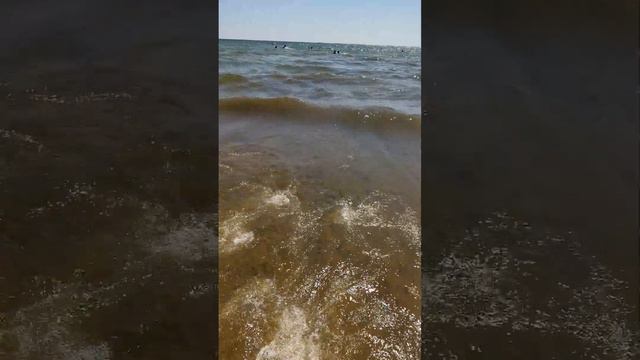 Море в Джемете - грязное 22 июля 2023! смотреть онлайн