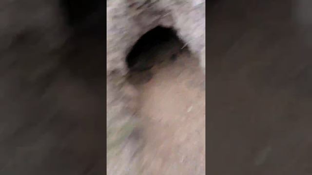 😱Потеряли подругу😱 когда были на заброшенной школе 😫 смотреть онлайн