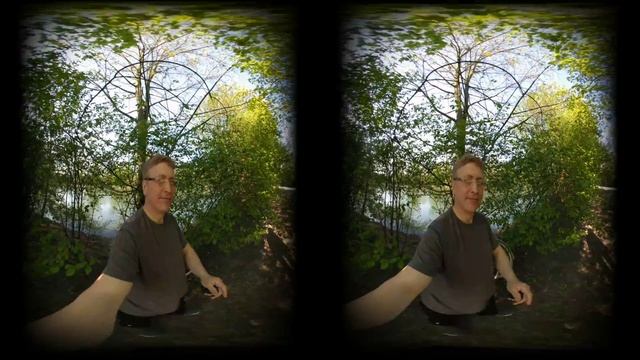 Заячьи норы. 3D 180 VR Panorama смотреть онлайн