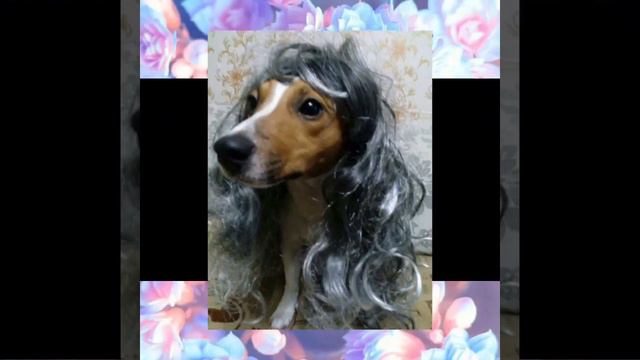 Дорогая МАМА! С ДНЁМ РОЖДЕНИЯ!!) смотреть онлайн