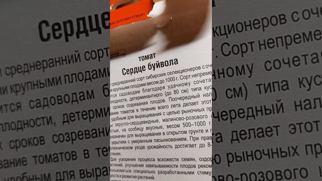 Невысокие крупноплодные томаты смотреть онлайн