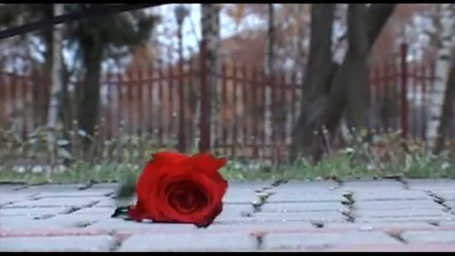 "Чёрная кошка, белый кот", или как мы снимали "Танго..." смотреть онлайн