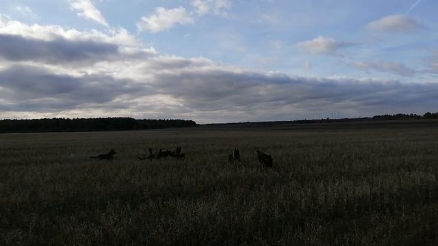 учит малышей играть смотреть онлайн