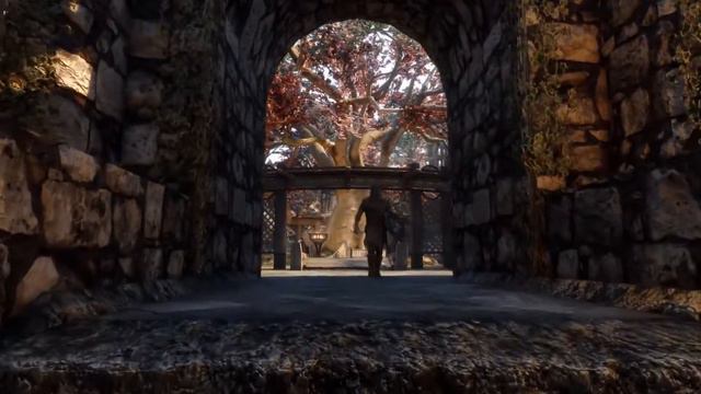 Skyrim 2020 - Новая реалистичная графика