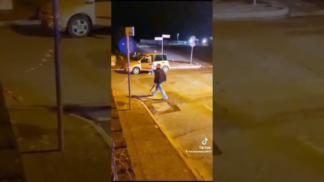 В Италии! Лев -сбежал из зоопарка/11/11/23год смотреть онлайн