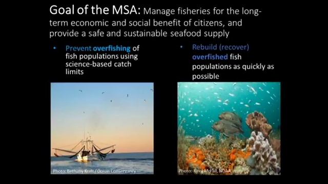 Magnuson-Stevens Fishery Management & Why it Matters to the Great Lakes смотреть онлайн