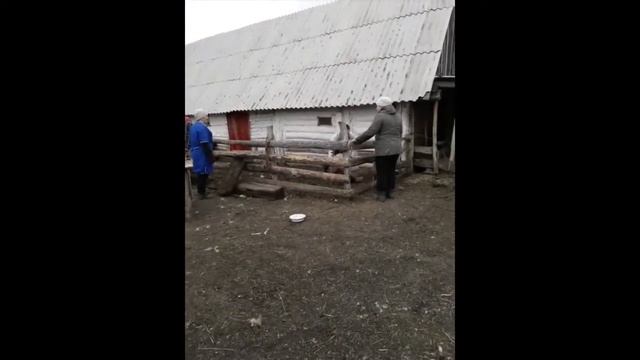 КОГДА ЗАБИРАЕШЬ ИЗ КЛУБА СВОЮ ПЬЯНУЮ ПОДРУГУ. ПРИКОЛЫ 2020. СМЕХ. ЮМОР. РЖАКА. ДЕРЕВЕНСКИЙ ЮМОР смотреть онлайн