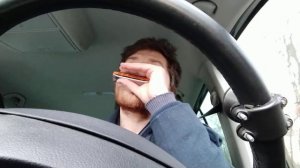 Жили у бабуси два весёлых гуся ♫ на губной гармошке