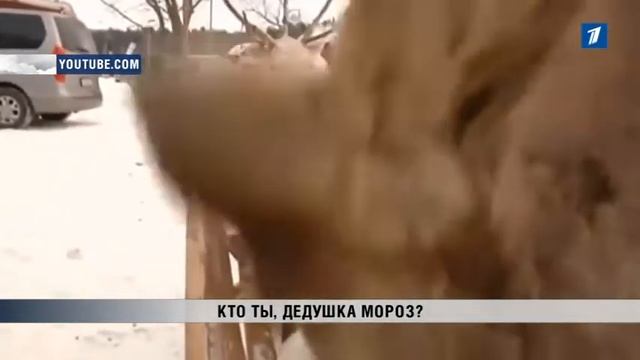 ПБК: Кто ты, дедушка Мороз? смотреть онлайн